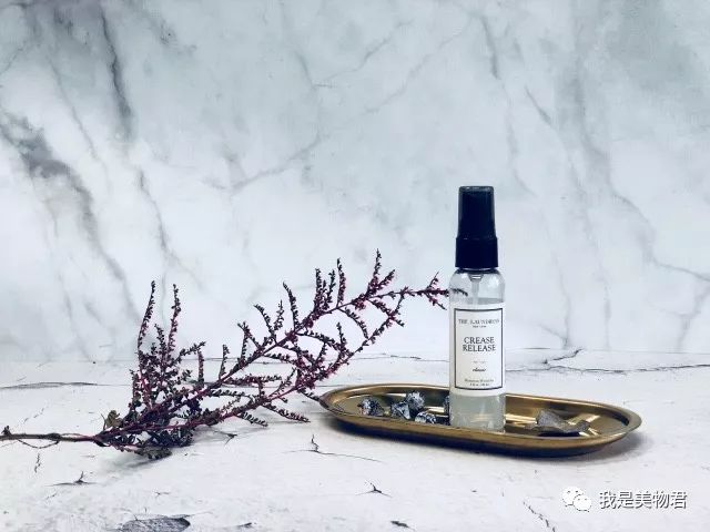 熨斗和挂烫机哪个效果更好,熨斗和挂烫机哪个更实用