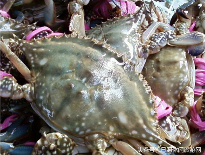 日照海边自驾一日游攻略,日照游玩海边安全