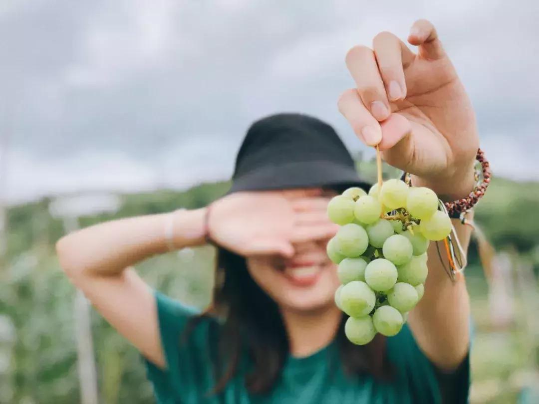 贵阳文凡状元别院有多少间房间,贵阳青岩文凡花间堂状元别院门票