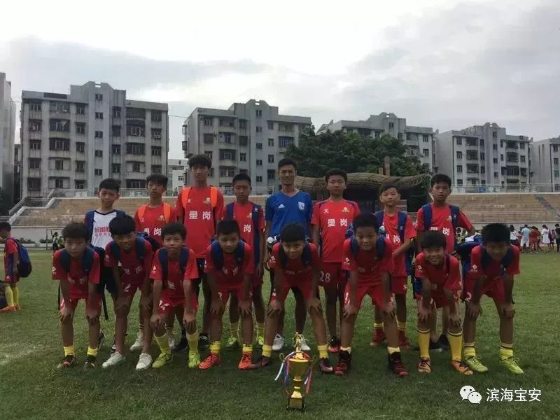 不收费的足球培训班,不用花钱的夏令营