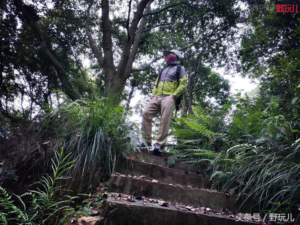 迪卡侬防晒衣夏天能穿吗,户外运动夏季轻薄防晒衣