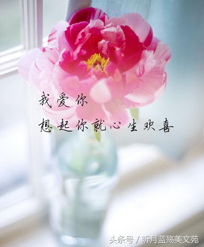 有一种爱叫做放手泪目,世上有一种爱叫放手