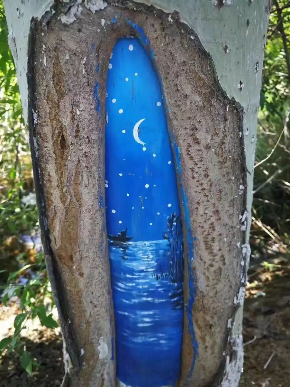 十一银川免费一日游推荐,宁夏十一一日游