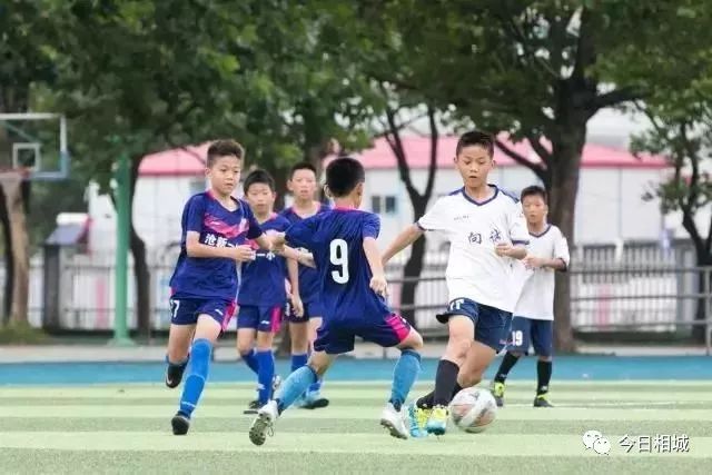 96支队伍，1300多名球员参赛！相城这家学校竟拿了冠军，猜猜是哪家？