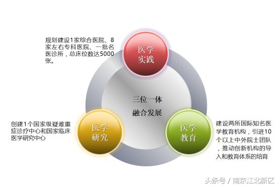 江北新区管理委员会罗群,江北新区生命健康产业发展办公室