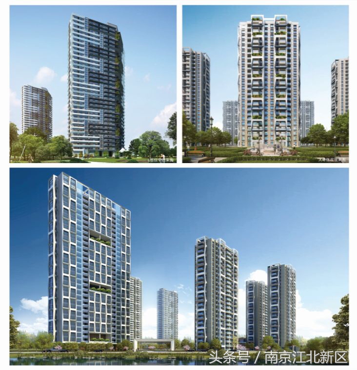 江北新区管理委员会罗群,江北新区生命健康产业发展办公室