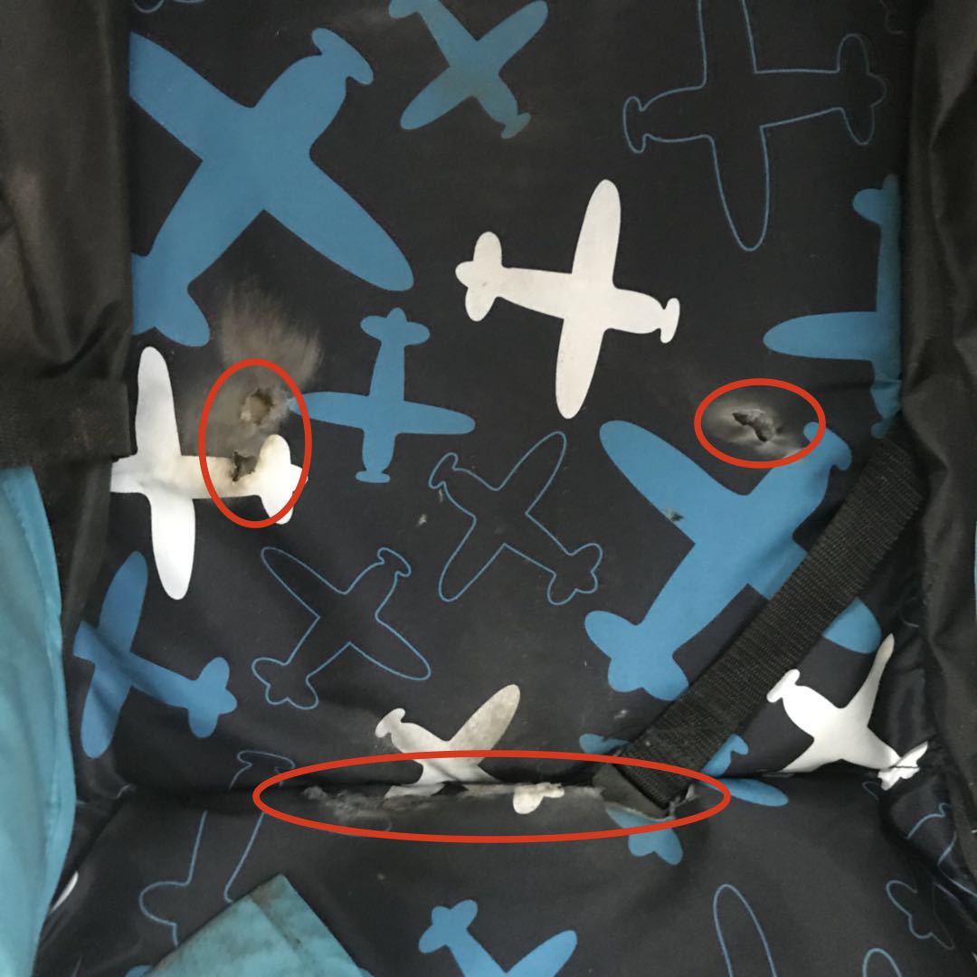 昆塔斯推车测评,昆塔斯婴儿推车价格