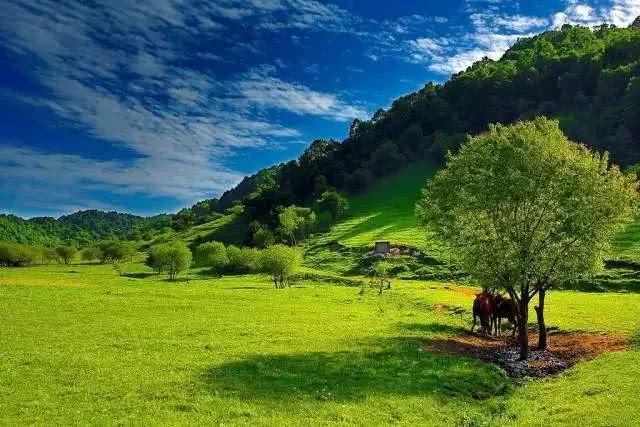 2022年宝鸡避暑好去处,宝鸡周边夏日避暑绝佳去处