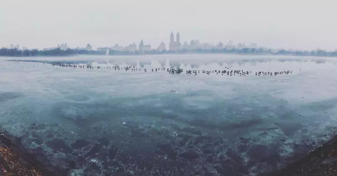 世界十大最高品质手机摄影大赛,2022年ippa摄影大赛