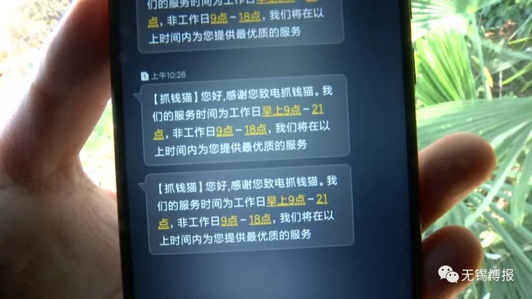 抓钱猫理财进展,抓钱猫p2p最新消息