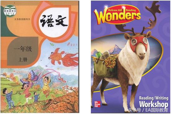 跟wonder学习0基础英语,wonders学英语