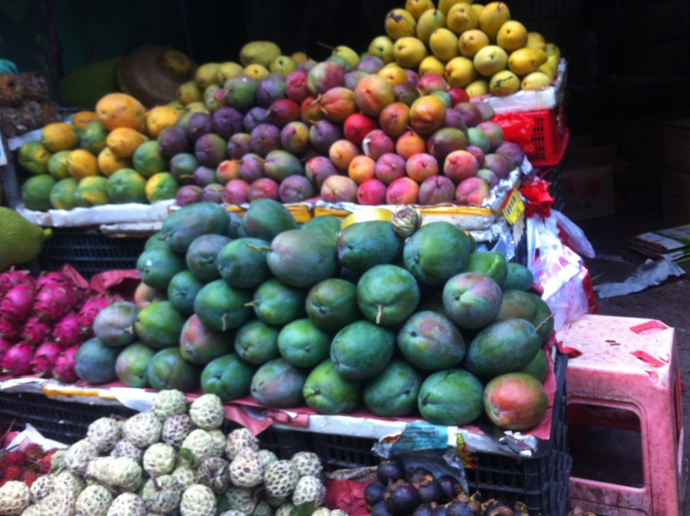 我和大海有个约会三亚看海之旅,我们与三亚的浪漫之旅