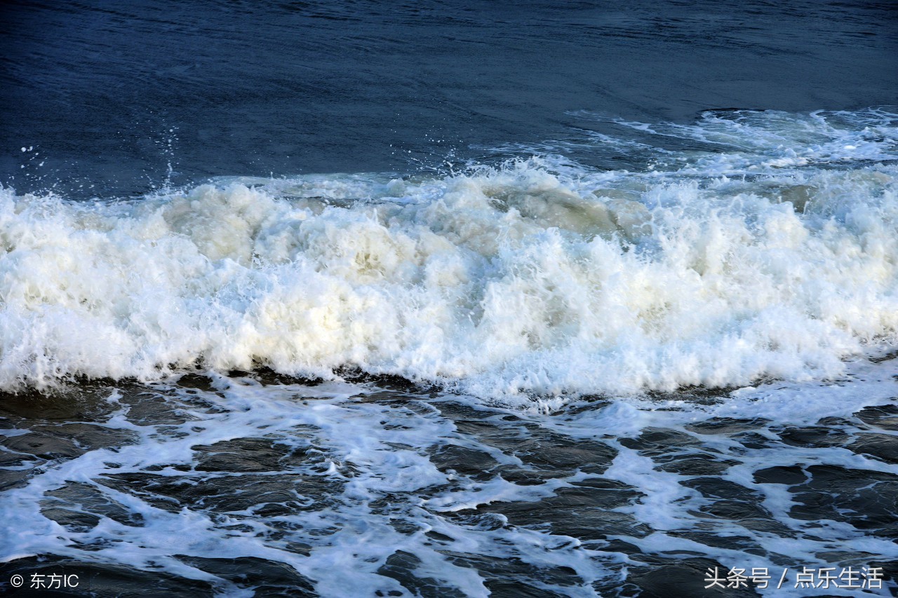 夏日全民旅行记,夏日全民旅游日记