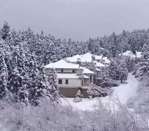 您好，南川！我是你的新朋友——贺州，我们的故事从这一刻开始啦