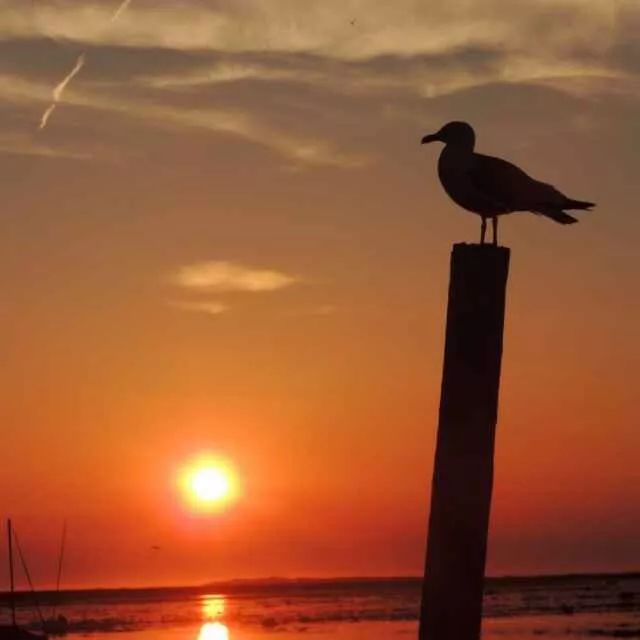 女士戴手串忌讳什么东西,女生戴手串的禁忌