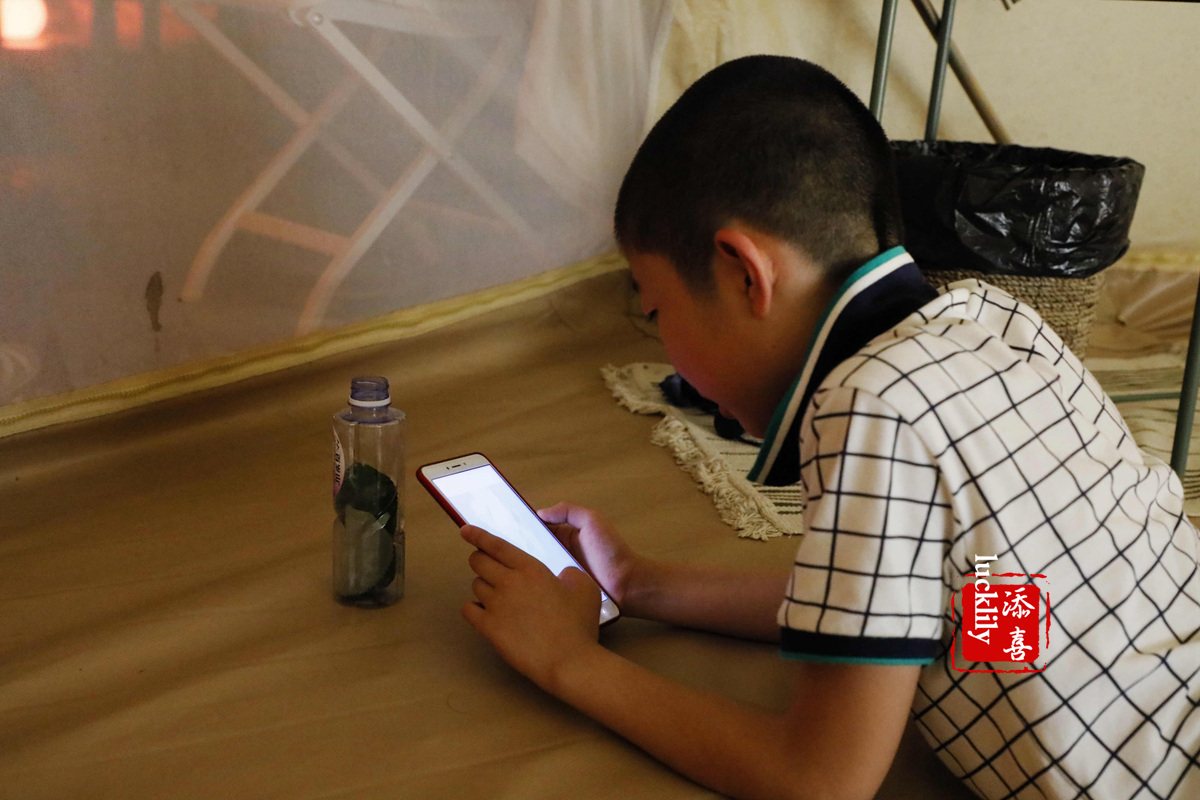 义远农场亲子探险露营：帐篷、萤火虫、足球冰淇淋、竹水枪、采摘