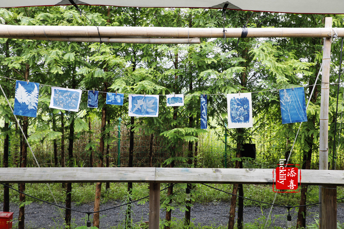 义远农场亲子探险露营：帐篷、萤火虫、足球冰淇淋、竹水枪、采摘