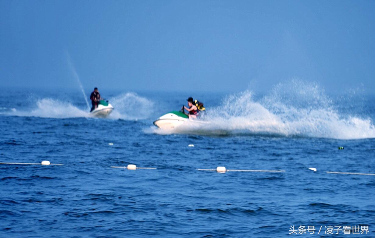 沙滩拾贝壳景区,沙滩花海美景
