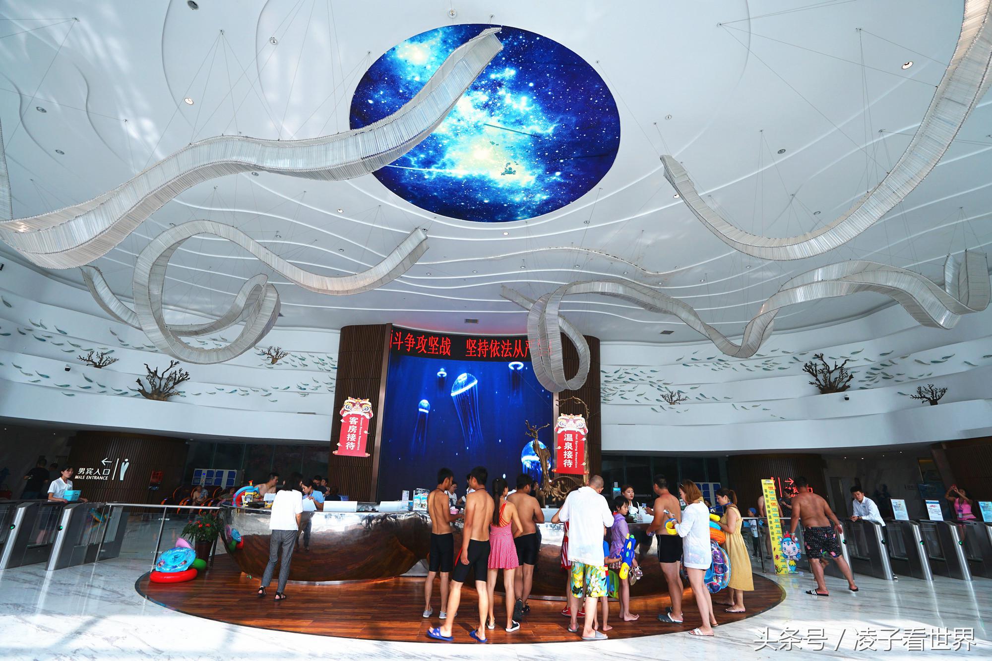 沙滩拾贝壳景区,沙滩花海美景