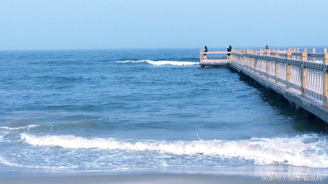 沙滩拾贝壳景区,沙滩花海美景