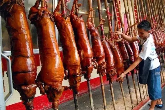 宿务飞大陆,宿务6天旅行