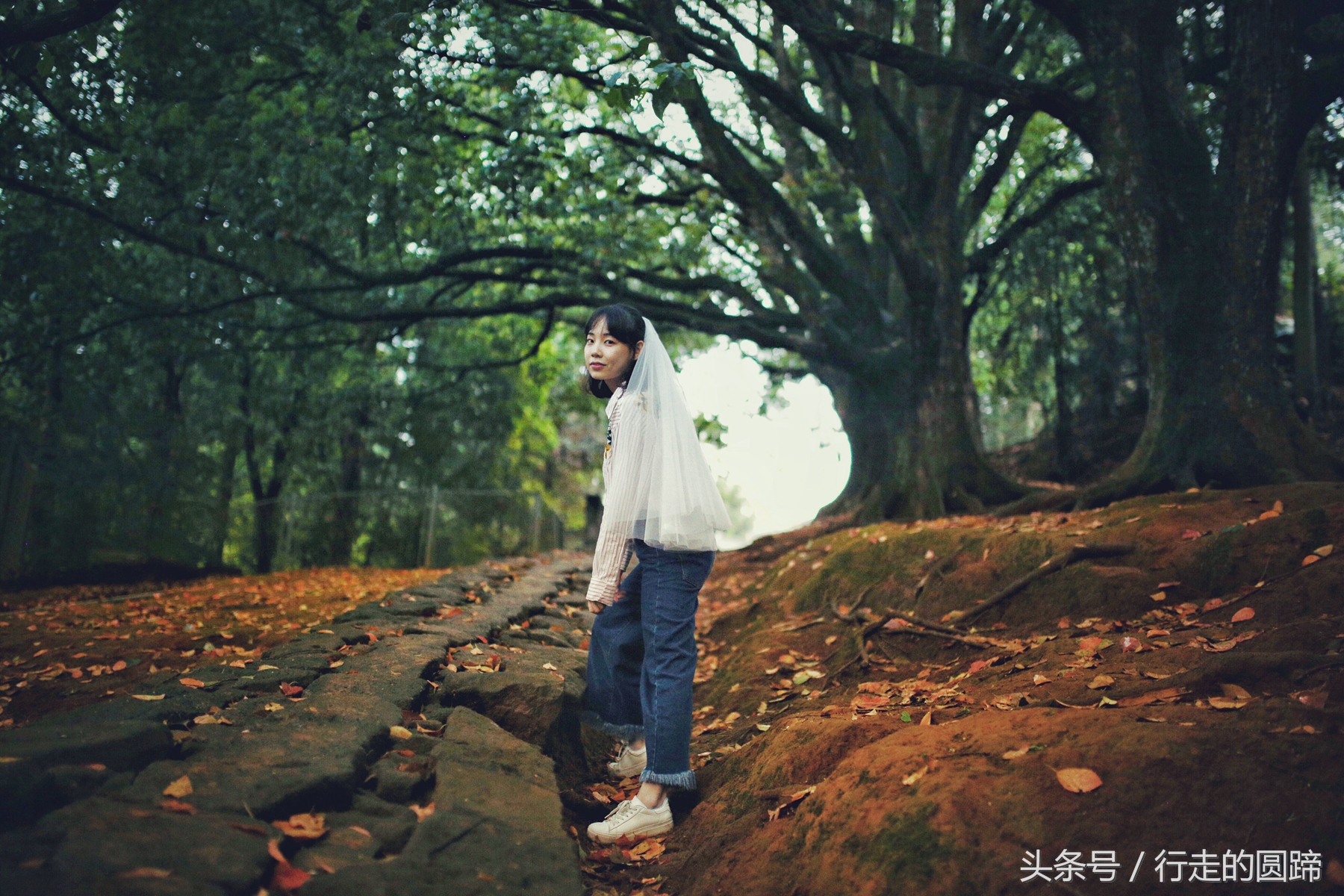 这个被誉为中国10大古镇之首的小镇，到底美在哪里？