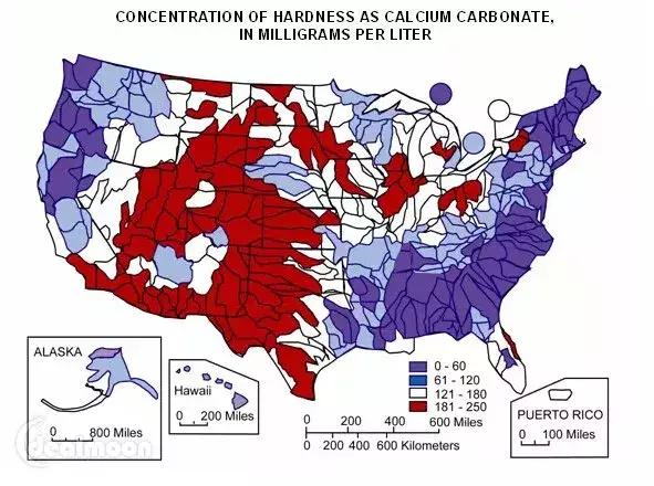 美国沙门氏病毒感染,病毒爆发后的麦当劳