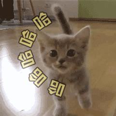 不可错过的超值产品系列,公认最好的三款眼霜