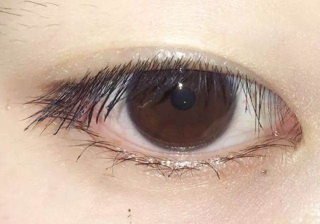 睫毛膏10大品牌推荐,平价卷翘睫毛膏测评