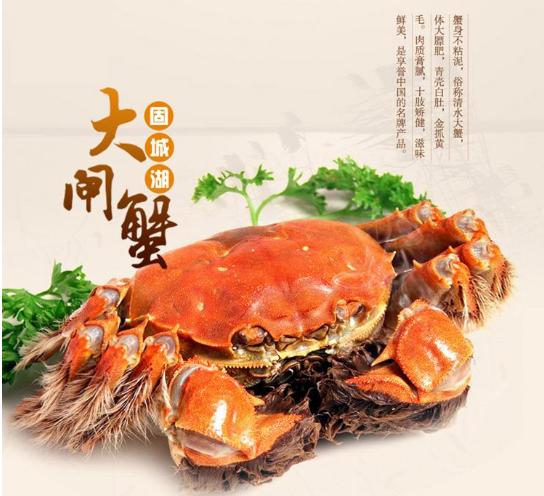 大闸蟹买阳澄湖还是固城湖好,活蟹正宗固城湖大闸蟹