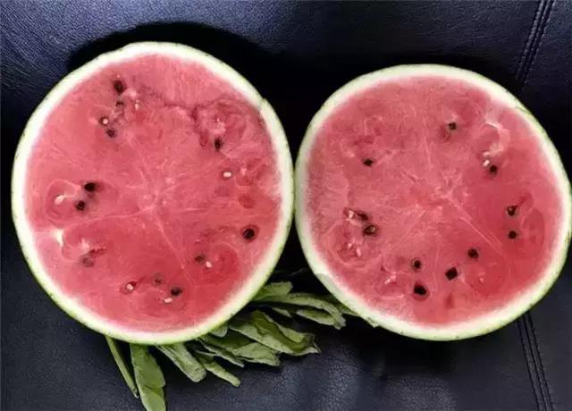 8424西瓜到底是有籽还是无籽的,有种西瓜叫8424
