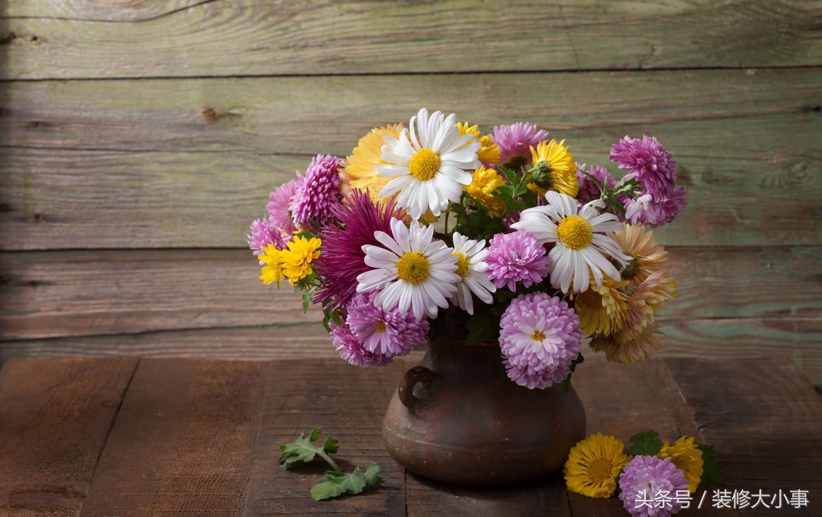 怎么才能彻底驱虫驱蟑螂,驱除蟑螂只需一招搞定