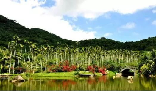 农旅项目盈利模式,农旅创业项目