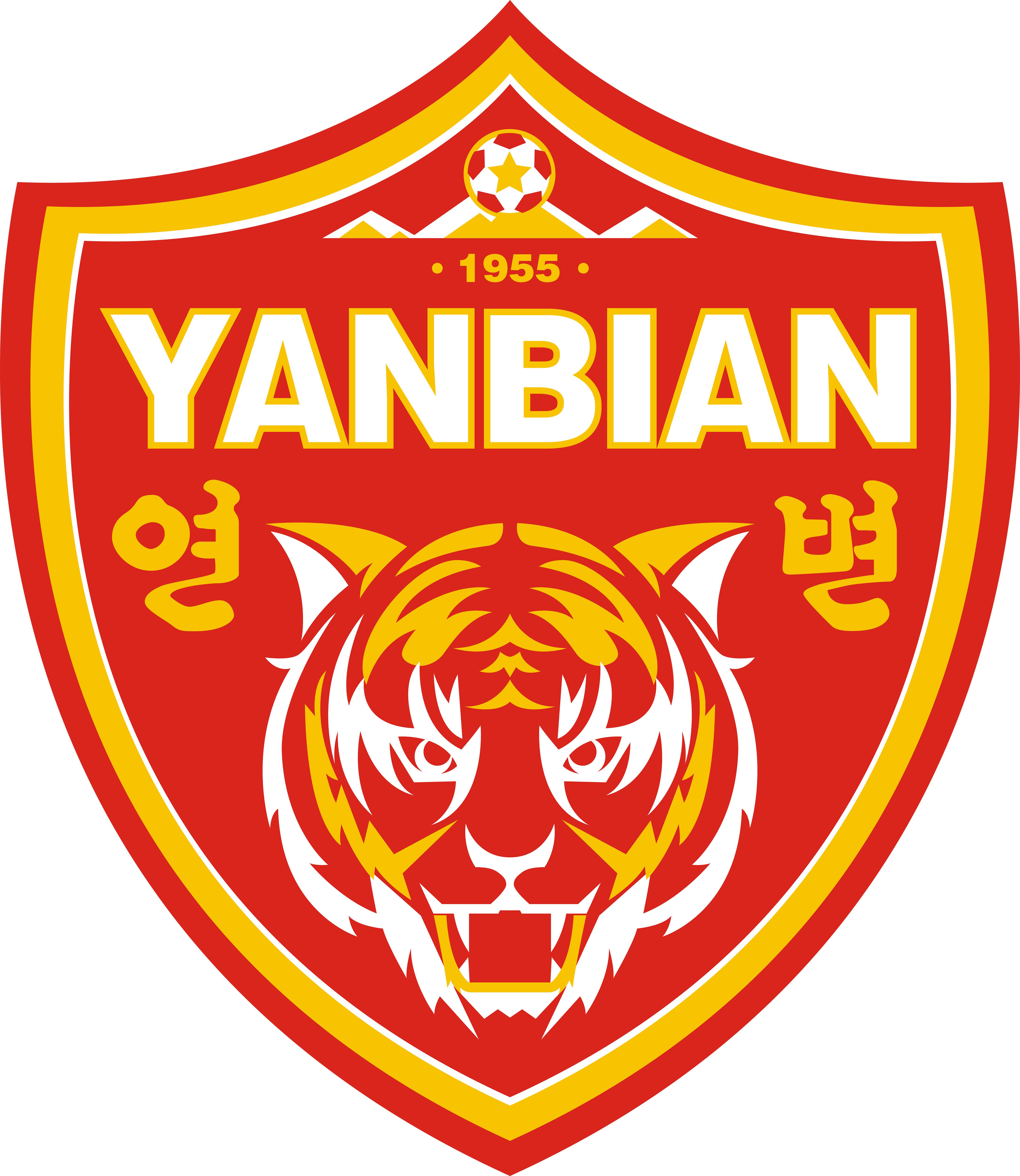 中超足球队徽刺绣logo,中超带有老虎的队徽