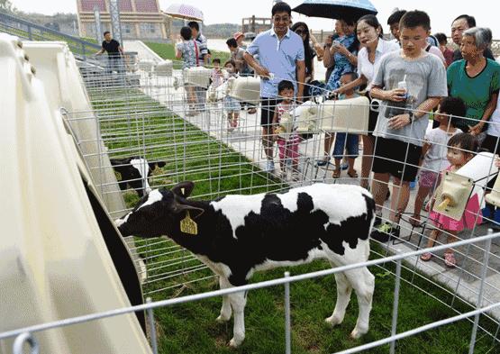 我们向全世界发出邀请！2019，欢迎您来到石家庄！