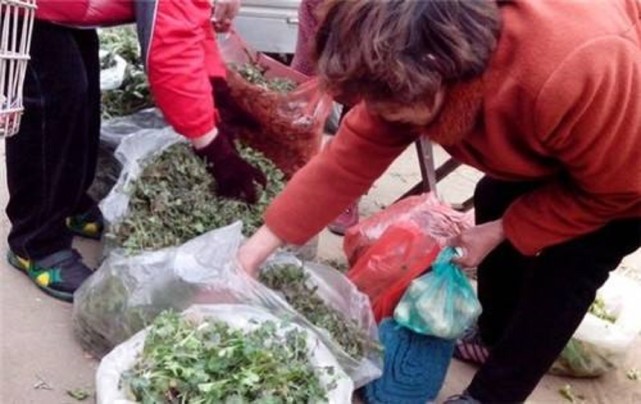 不愿意打工怎么赚钱,不想打工了在农村做点什么生意好