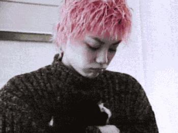 石榴粉别狂！王菲爱你24年而已