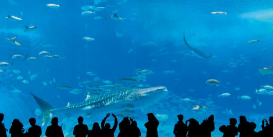 「摄影干货」降服讨厌的反光