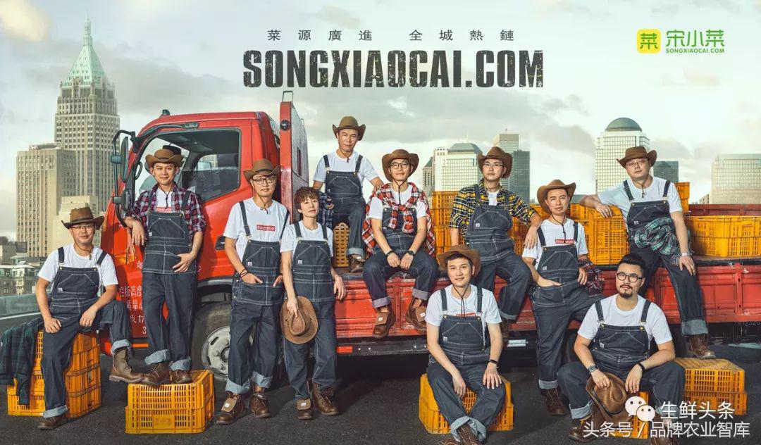 宋小菜创业,宋小菜招商