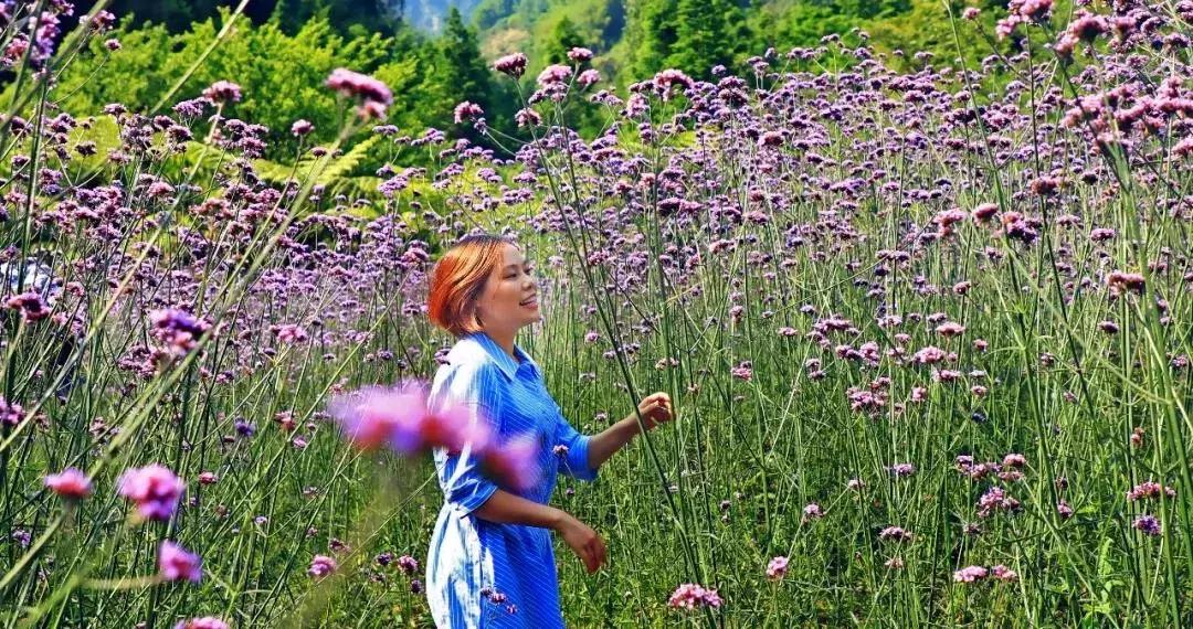 藏不住了重庆这个小城太美了,藏不住了四川话