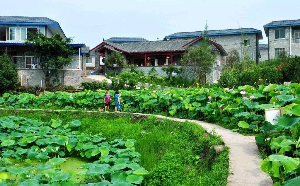 藏不住了重庆这个小城太美了,藏不住了四川话