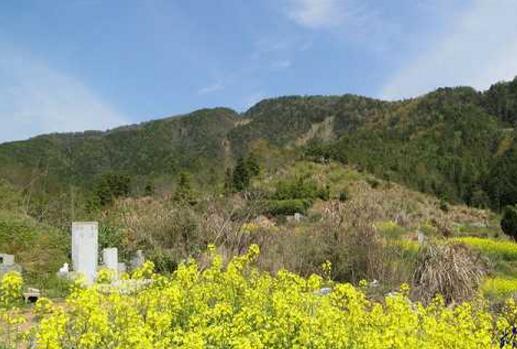 龙地风水墓地,龙墓地风水图片