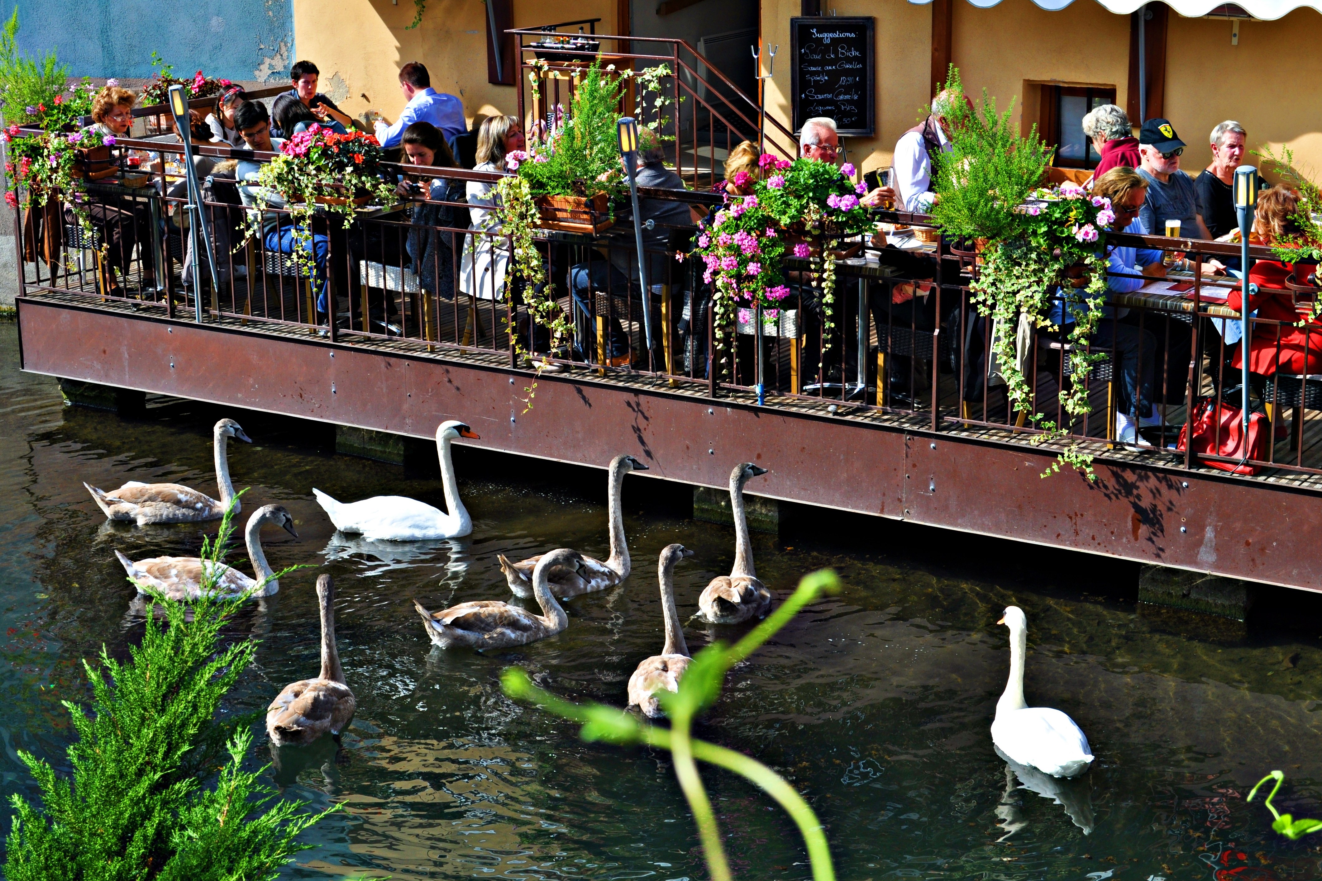 欧洲旅行第一好城市,欧洲无国界旅游