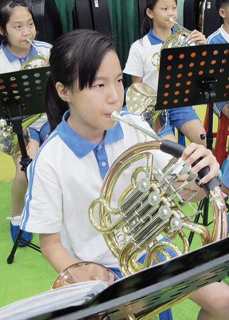 把动物看成一种乐器有哪些,如果把你比作一种动物你就是天鹅