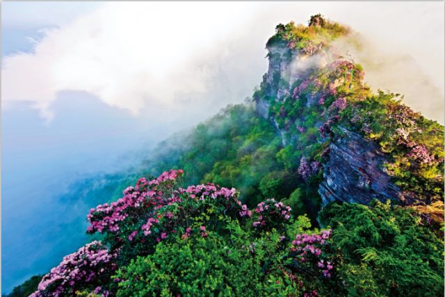 光雾山诺水河旅游,光雾山诺水河世界地质公园攻略