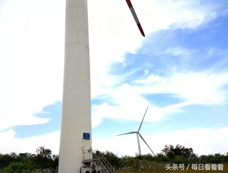 利川著名的油菜花田,利川花海在几月份