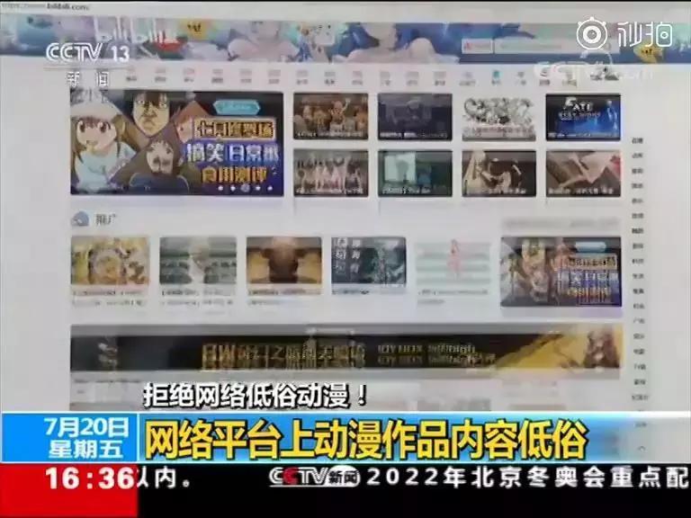 二次元的乱象有哪些,国内爆火的二次元现在怎么样了