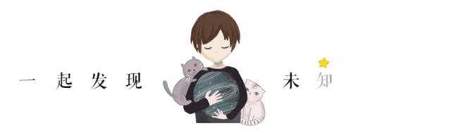 12星座要什么才会快乐,十二星座需要什么样的感情