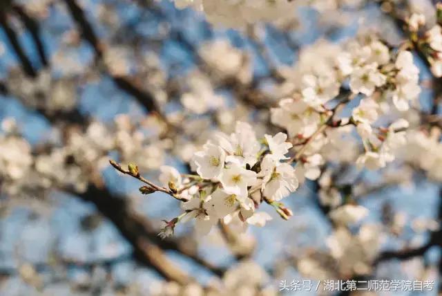 湖北第二师范学院查看新学期课表,湖北省第二师范学院新生报到