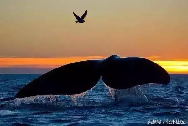 不用签证可以去的岛屿,不花钱的海岛旅行